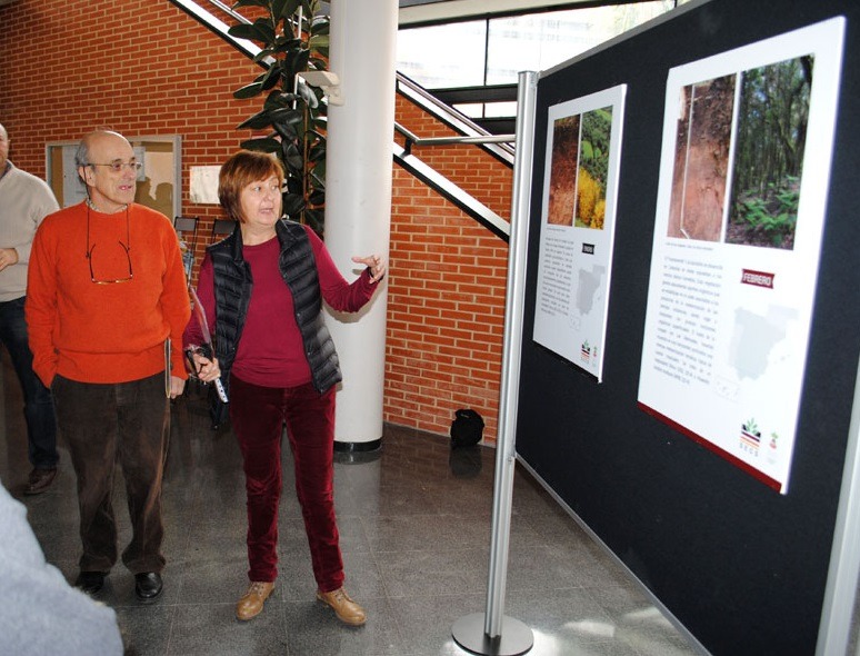 La ETSIAM de Albacete acoge una exposición sobre suelos y biodiversidad forestal