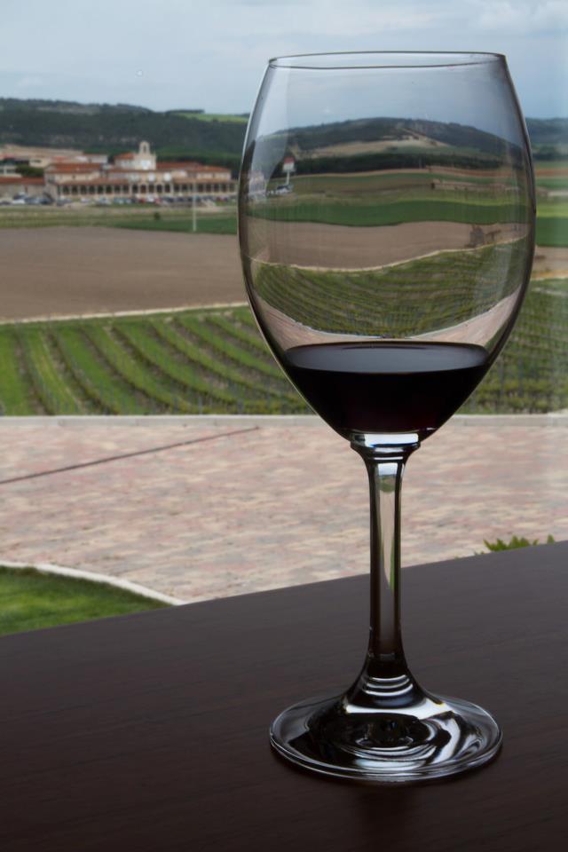 Castilla-La Mancha alcanza la cifra más alta de la historia en exportación de vino