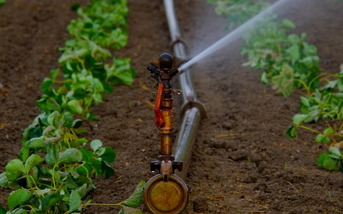 Código abierto y satélites para no derrochar agua en el riego de cultivo