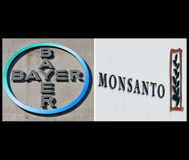 Bayer suprimirá la marca Monsanto tras comprarla por 53.373 millones