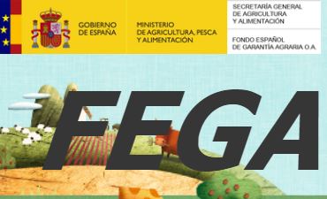 FEGA publica el Informe de Actividad 2017