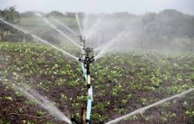 Nuevas reglas para promover la reutilización del agua en la agricultura