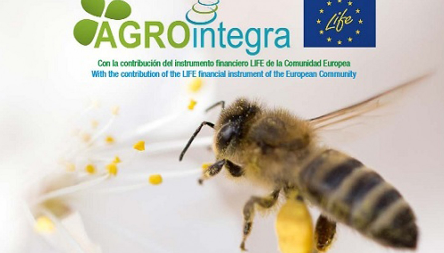 Un proyecto español, mejor iniciativa sobre medio ambiente 2018 en la UE