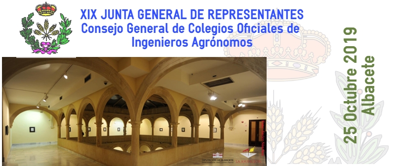 La XIX Junta General de Representantes se celebra en Albacete