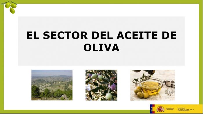 Autorregulación del sector del aceite de oliva