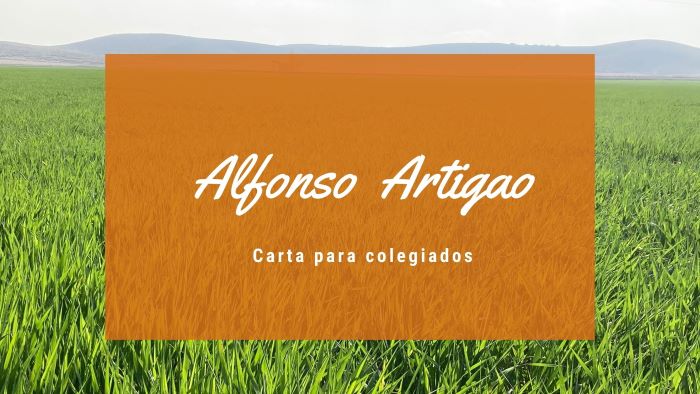 Carta de Alfonso Artigao