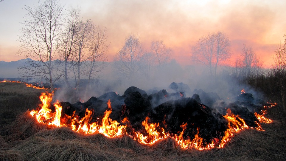 Normas obligatorias para la quema de restos vegetales en terrenos agrícolas