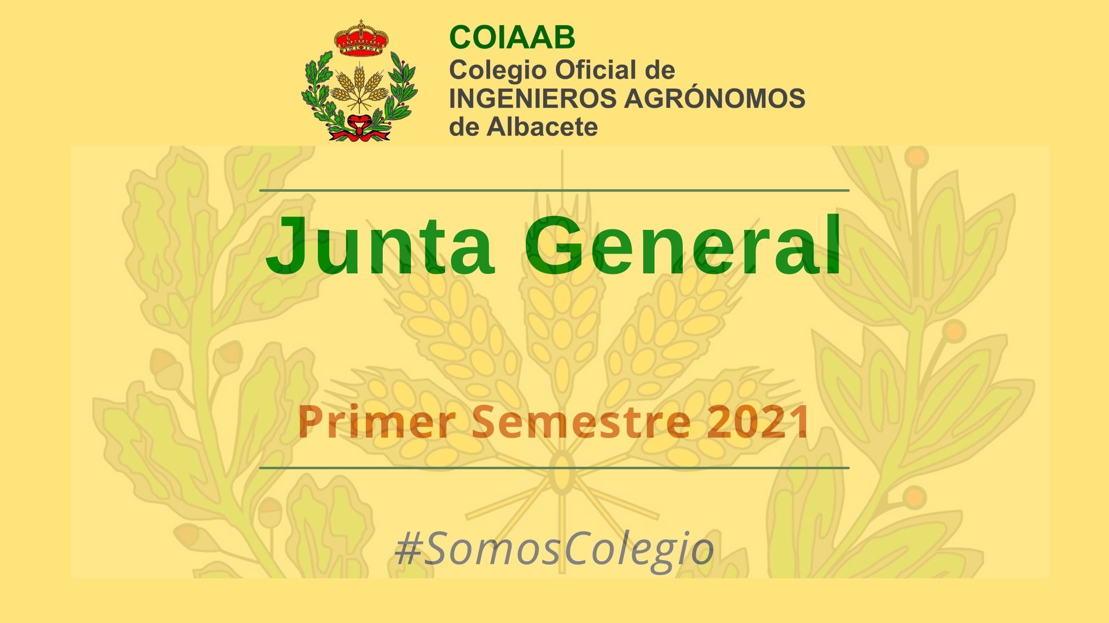 Convocatoria Junta General COIAAB: 28 de Junio de 2021