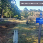 Mayor protecciÃ³n de las vÃ­as pecuarias en Castilla-La Mancha